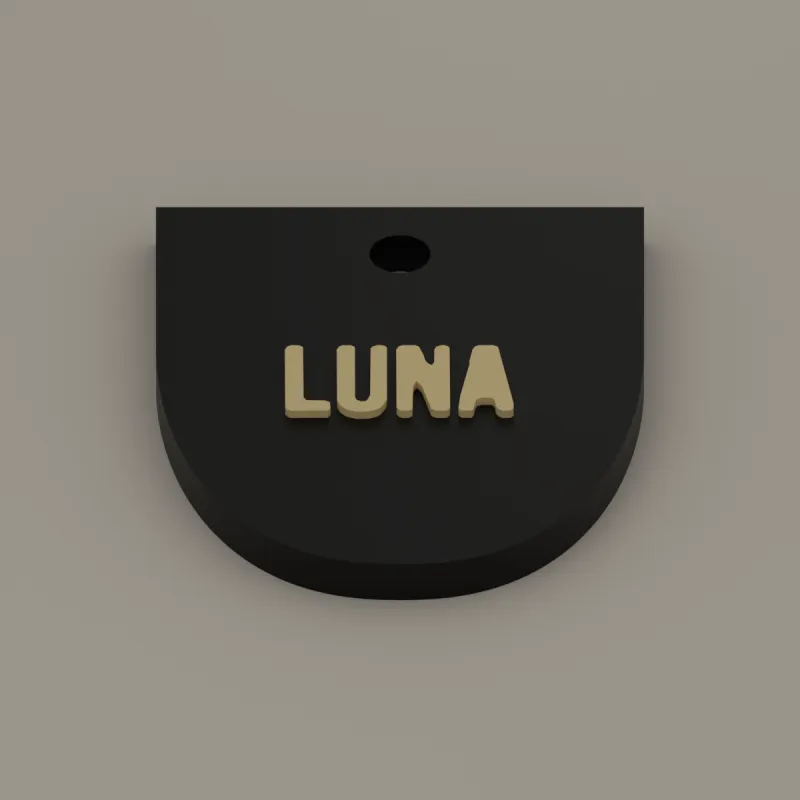 Bold name pet tag, 3D render of the print